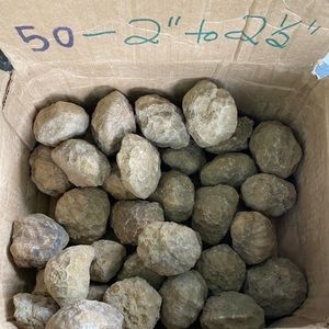 Geodes to crack open!!🌟 💎